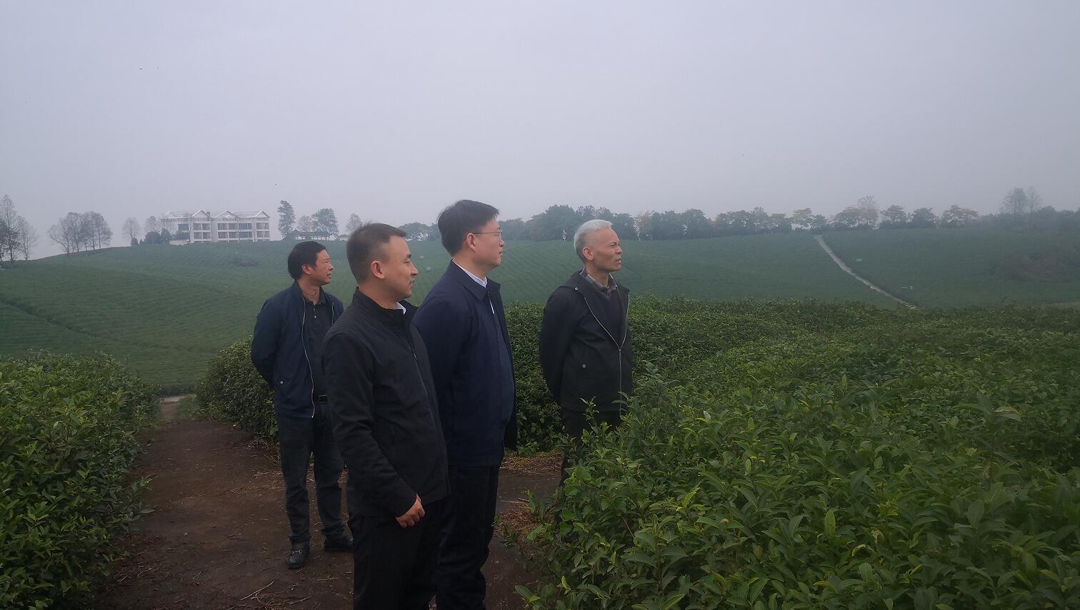 CQ9电子·(中国)唯一官方网站