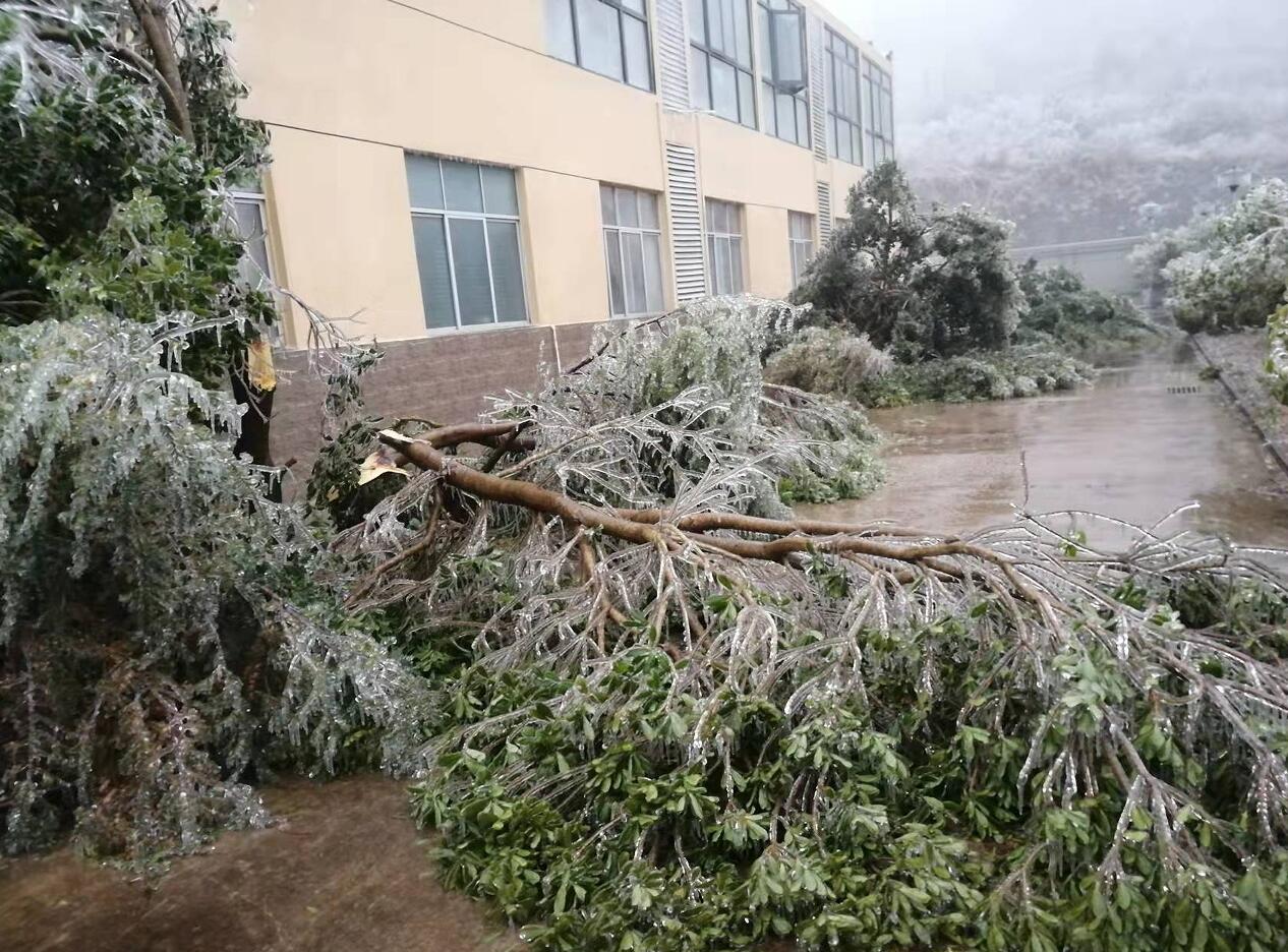 CQ9���ӡ�(�й�)Ψһ�ٷ���վ