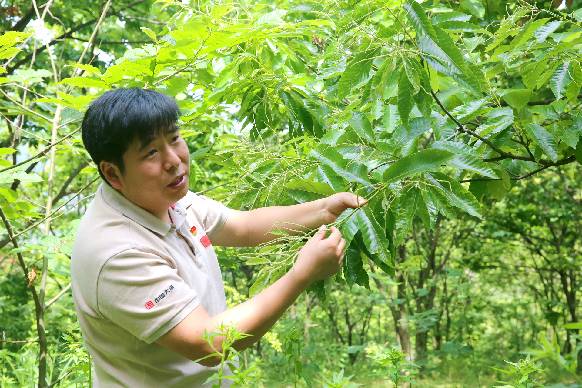 CQ9���ӡ�(�й�)Ψһ�ٷ���վ