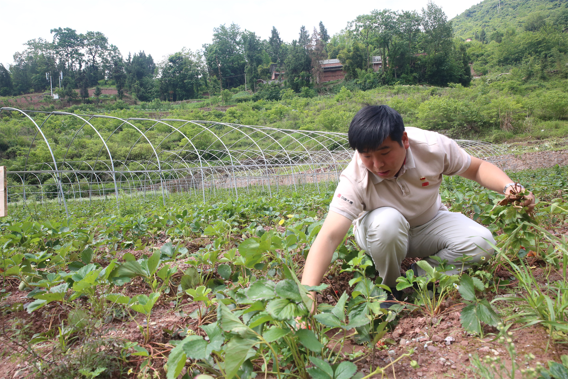 CQ9���ӡ�(�й�)Ψһ�ٷ���վ