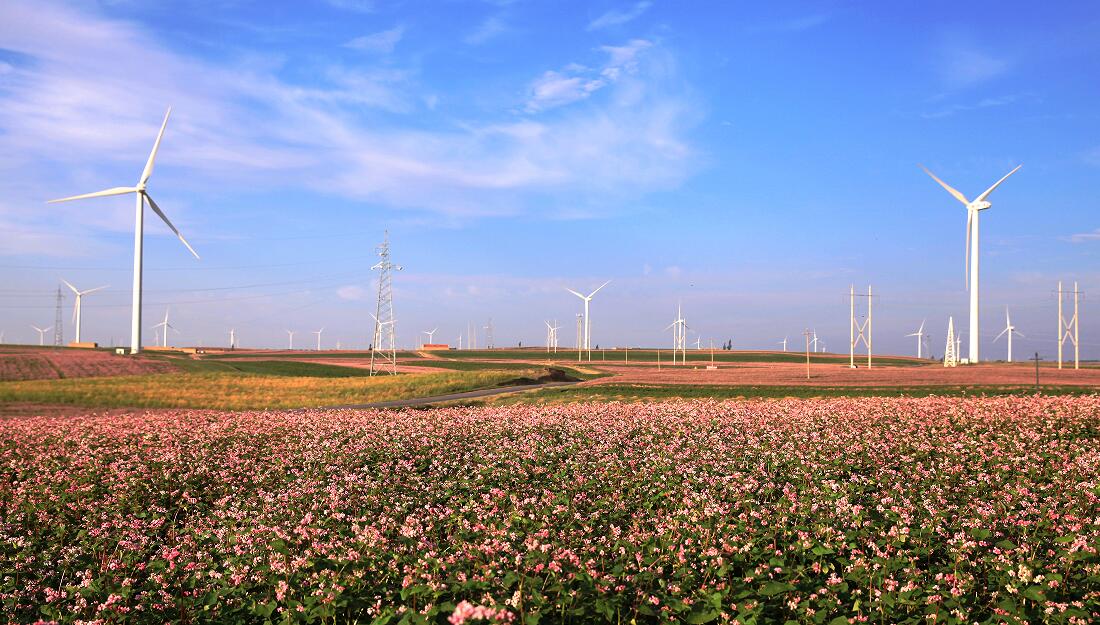 CQ9���ӡ�(�й�)Ψһ�ٷ���վ