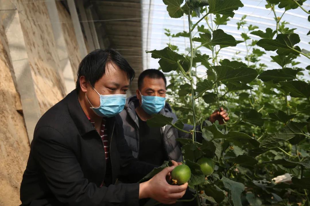 CQ9���ӡ�(�й�)Ψһ�ٷ���վ