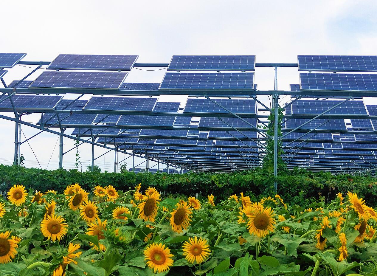 CQ9µç×Ó¡¤(Öйú)Ψһ¹Ù·½ÍøÕ¾