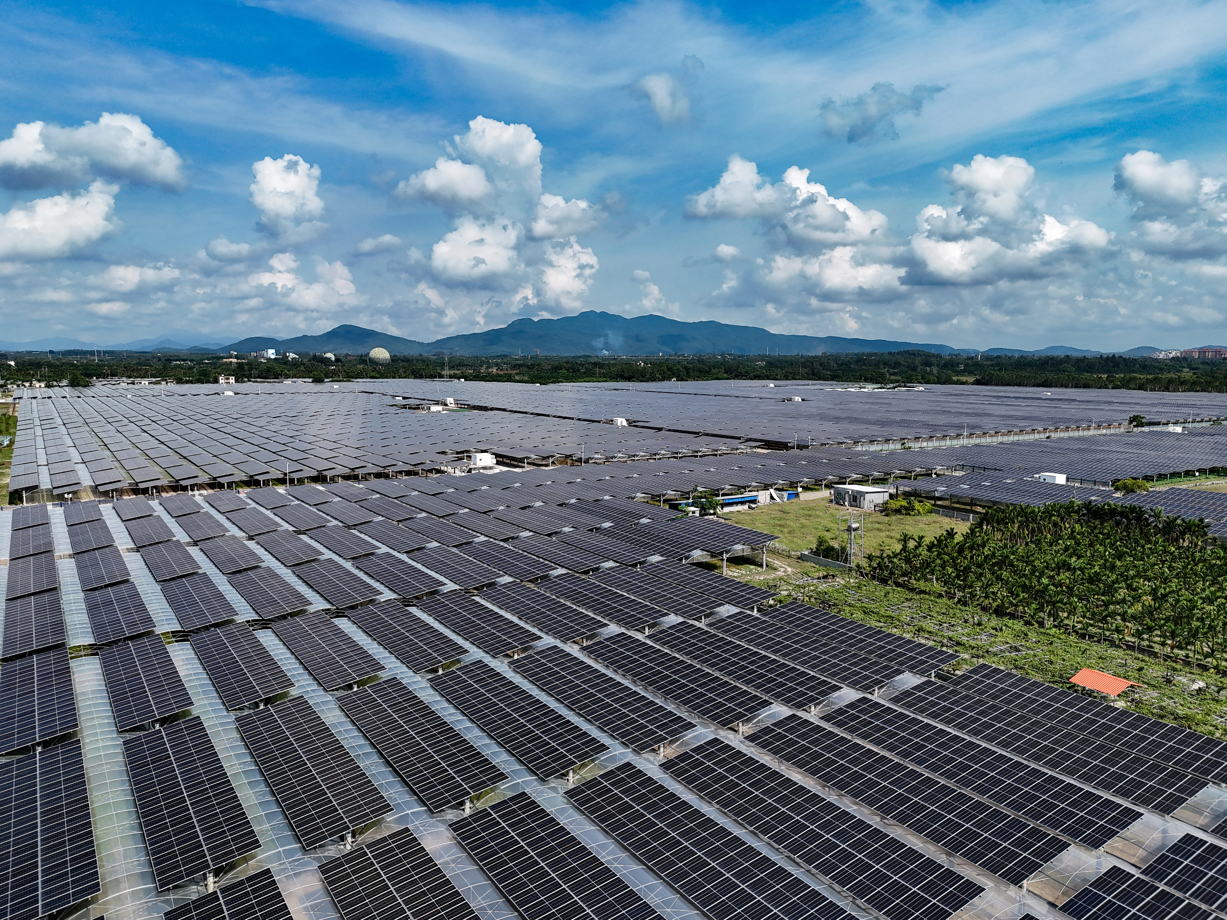 ���ݪֲ�� (2).jpg